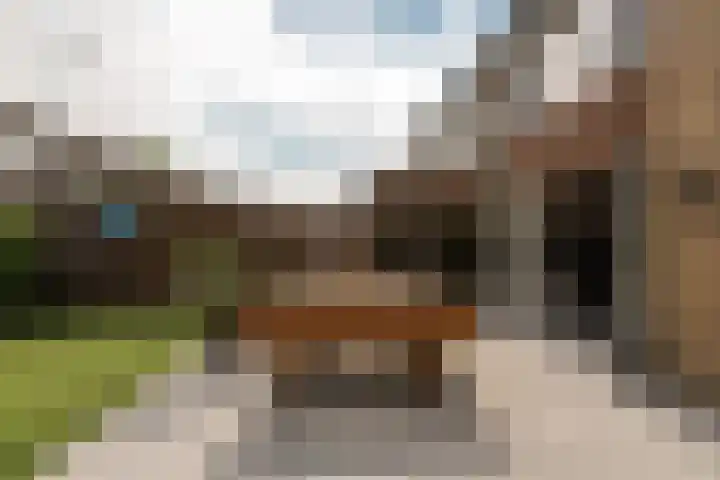 Bruinhorst 11 Leusden thumbnail 20