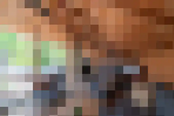 Bruinhorst 11 Leusden thumbnail 22