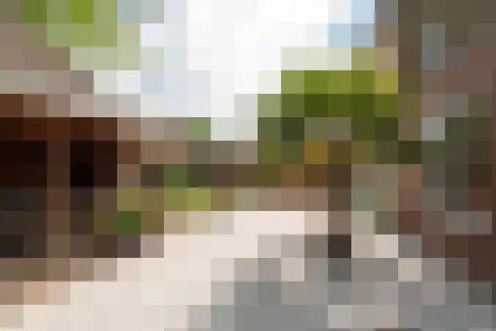 Bruinhorst 11 Leusden thumbnail 23