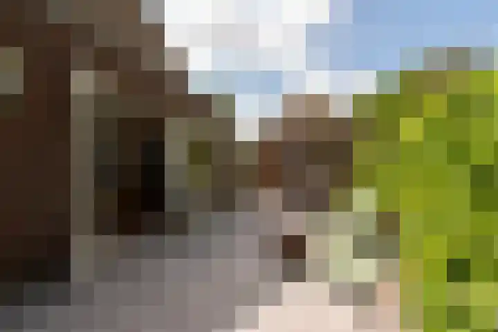 Bruinhorst 11 Leusden thumbnail 24