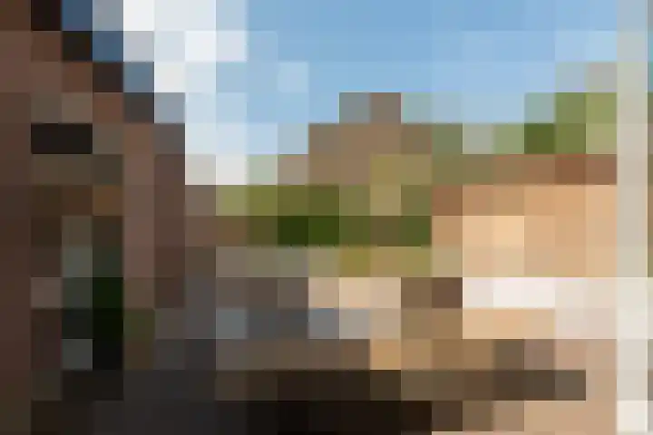 Bruinhorst 11 Leusden thumbnail 25