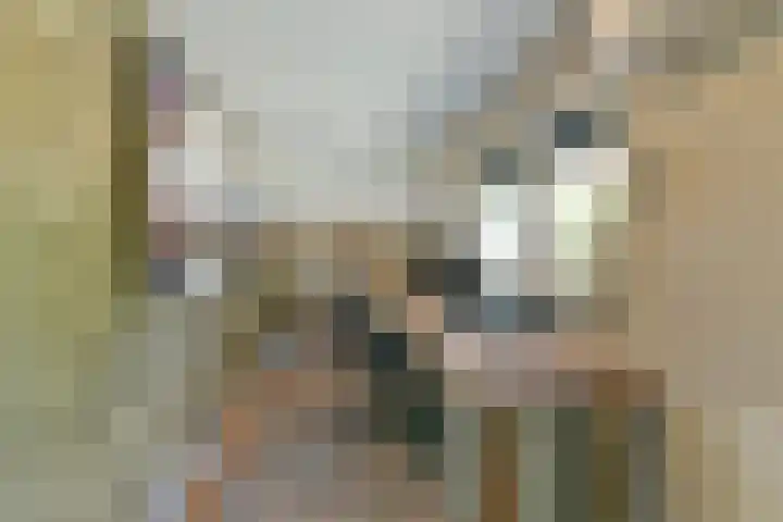 Bruinhorst 11 Leusden thumbnail 32