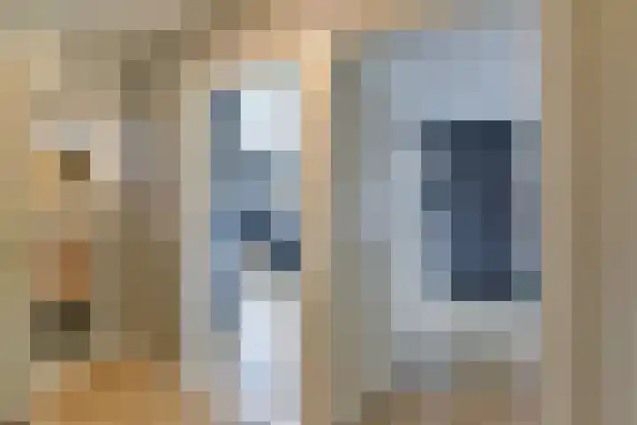 Bruinhorst 11 Leusden thumbnail 33