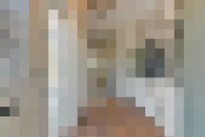 Bruinhorst 11 Leusden thumbnail 4