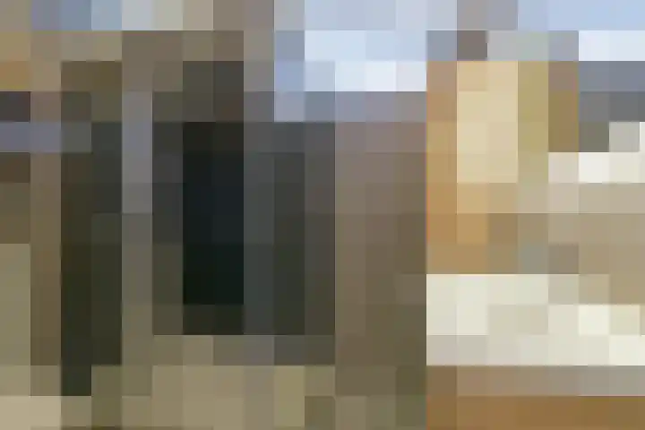 Bruinhorst 11 Leusden thumbnail 40