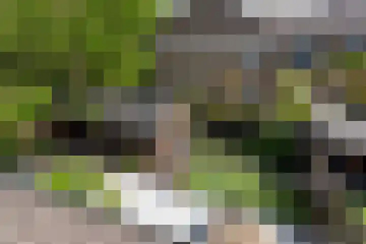Bruinhorst 11 Leusden thumbnail 49
