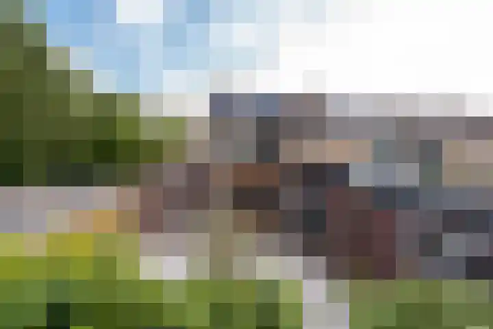 Bruinhorst 11 Leusden thumbnail 50