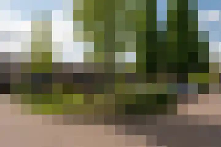 Bruinhorst 11 Leusden thumbnail 51