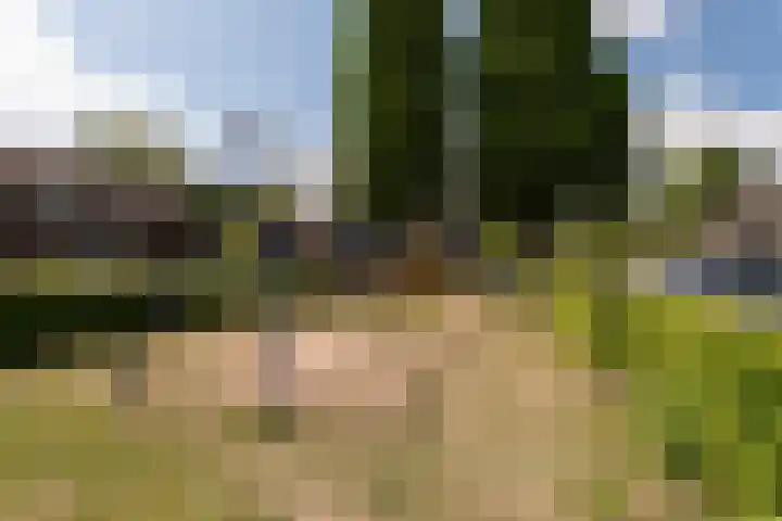 Bruinhorst 11 Leusden thumbnail 52