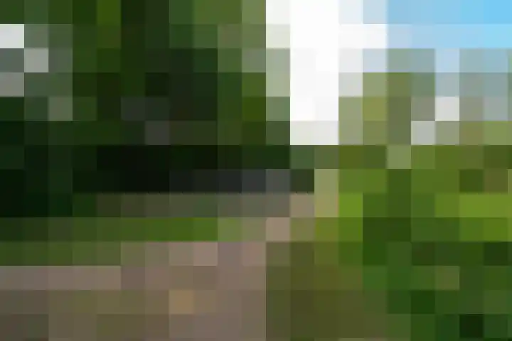 Bruinhorst 11 Leusden thumbnail 53