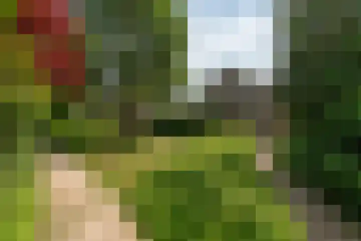 Bruinhorst 11 Leusden thumbnail 54