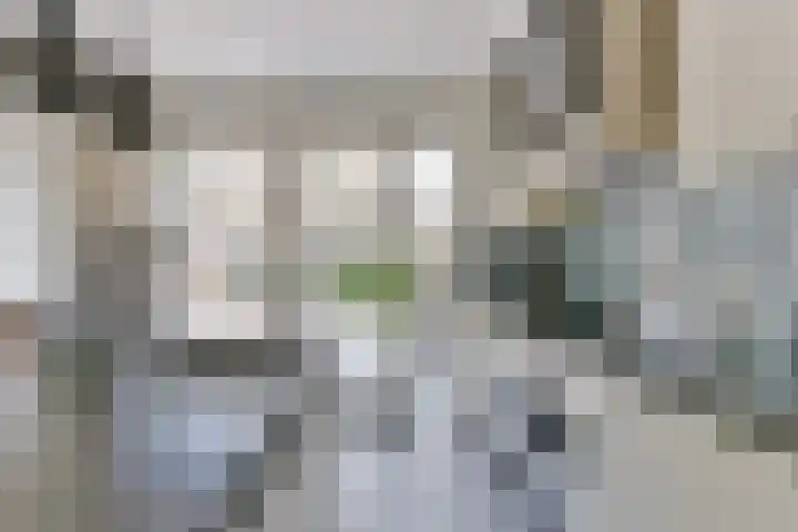 Bruinhorst 11 Leusden thumbnail 9