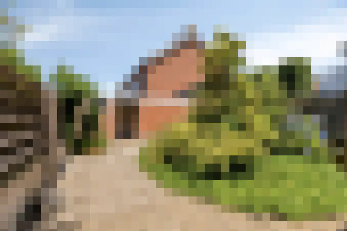 Bruininkhuizen 28 Etten-Leur thumbnail 35