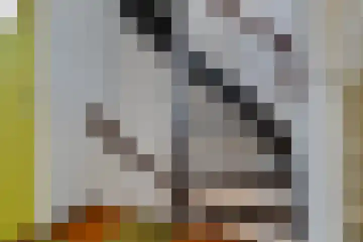 Bruininkhuizen 29 Etten-Leur thumbnail 15