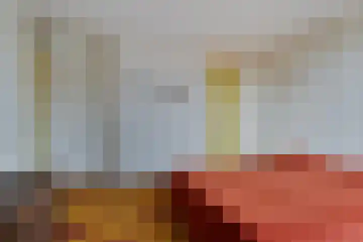Bruininkhuizen 29 Etten-Leur thumbnail 17