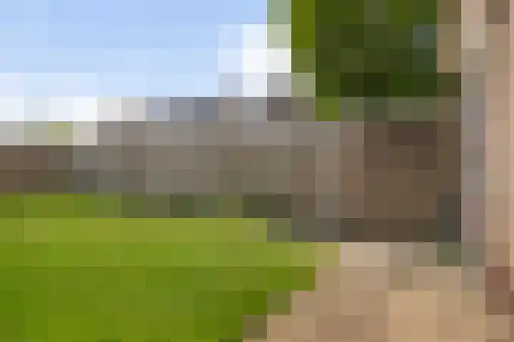 Bruininkhuizen 29 Etten-Leur thumbnail 32