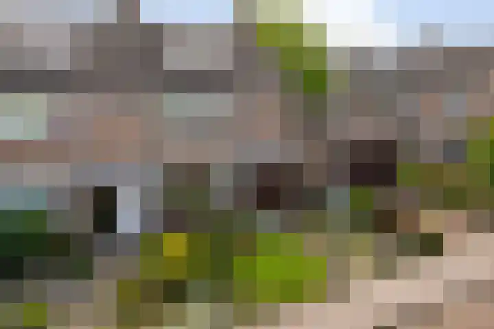 Bruininkhuizen 29 Etten-Leur thumbnail 37