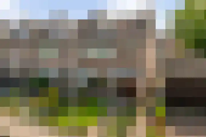 Bruininkhuizen 29 Etten-Leur thumbnail 38