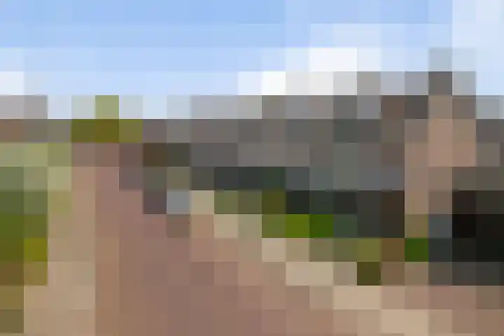 Bruininkhuizen 29 Etten-Leur thumbnail 39