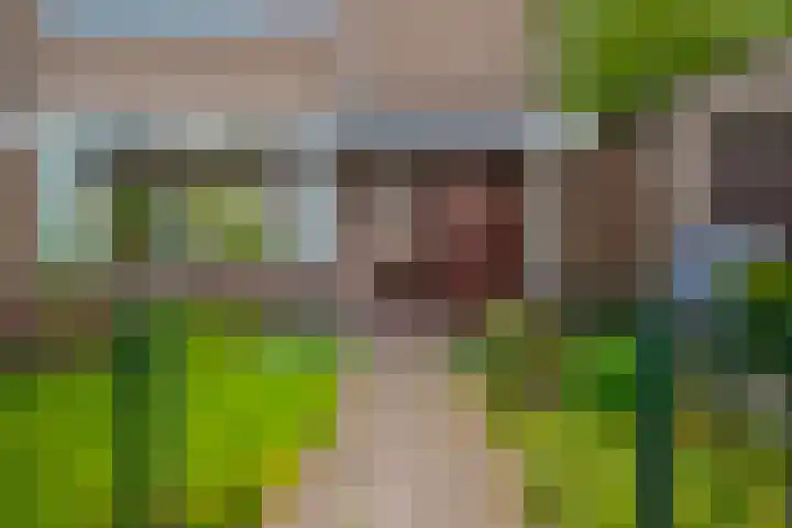 Bruininkhuizen 29 Etten-Leur thumbnail 5