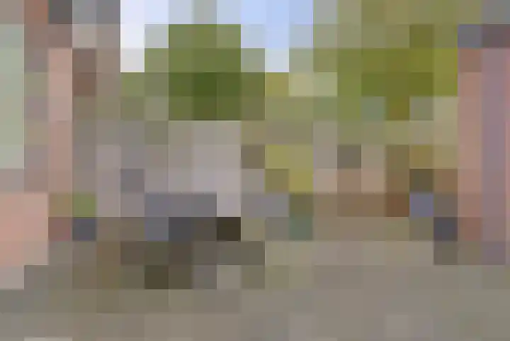 Bruinissestraat 13 Arnhem thumbnail 29