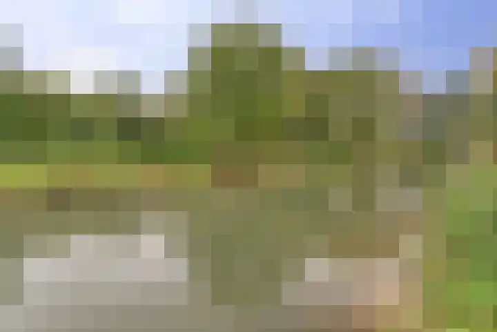 Bruinissestraat 13 Arnhem thumbnail 32
