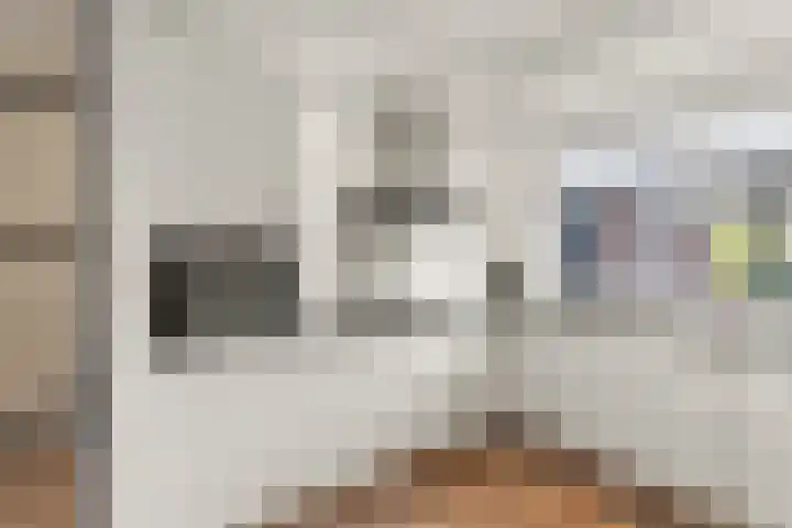 Bruinissestraat 17 Arnhem thumbnail 16