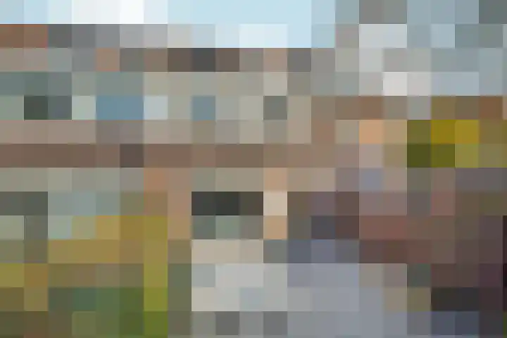Bruinissestraat 17 Arnhem thumbnail 32