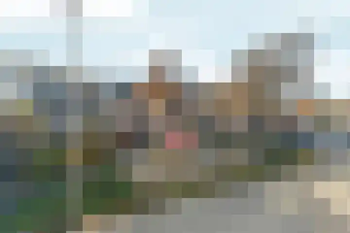 Bruinissestraat 17 Arnhem thumbnail 37