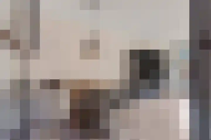 Bruinissestraat 17 Arnhem thumbnail 6