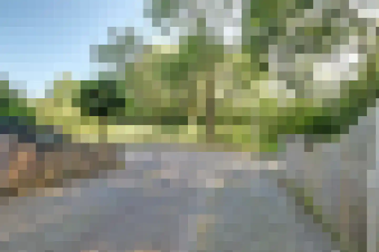 Bruinissestraat 24 Arnhem thumbnail 18