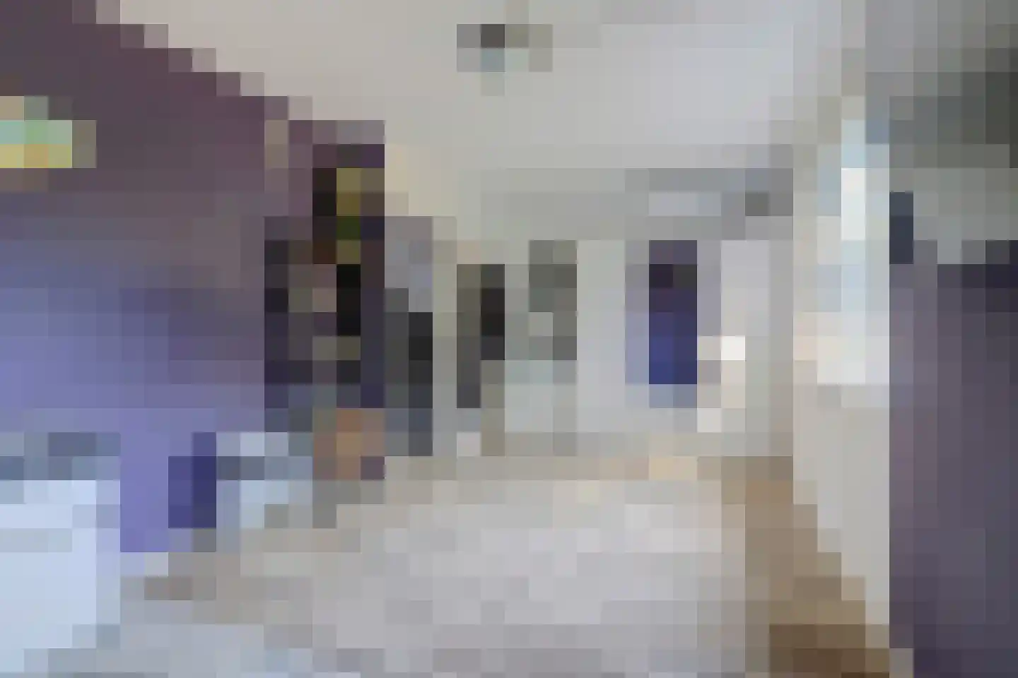 Bruinissestraat 24 Arnhem thumbnail 36