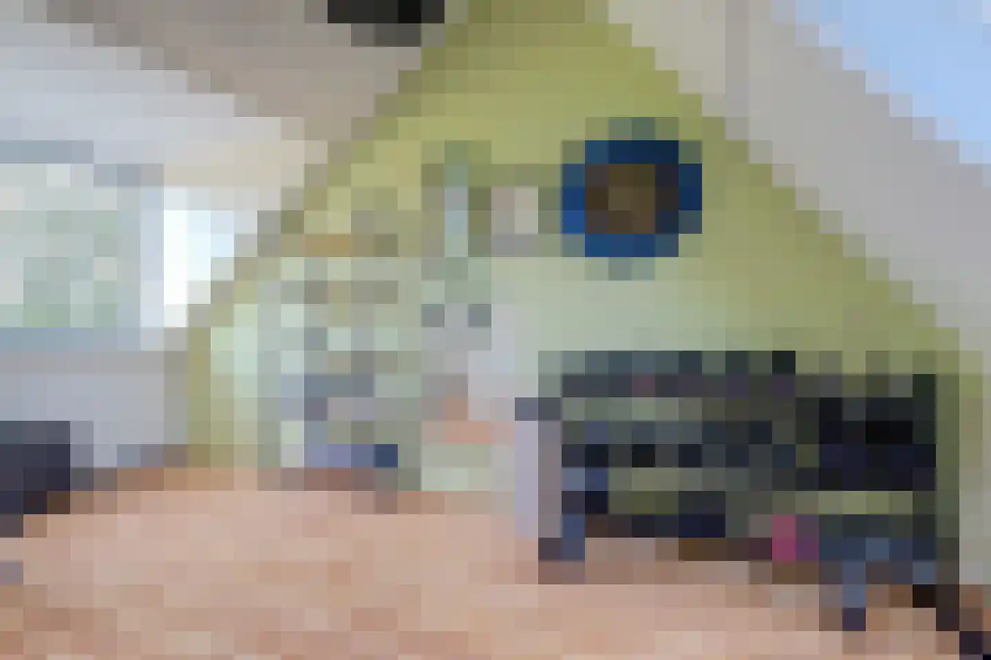 Bruinissestraat 24 Arnhem thumbnail 45