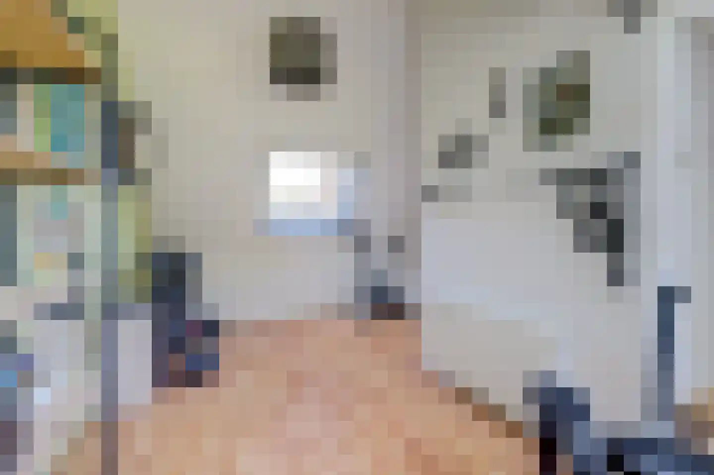 Bruinissestraat 24 Arnhem thumbnail 47