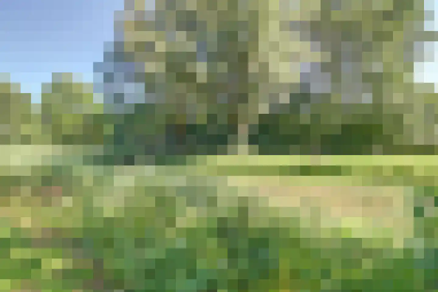 Bruinissestraat 24 Arnhem thumbnail 49