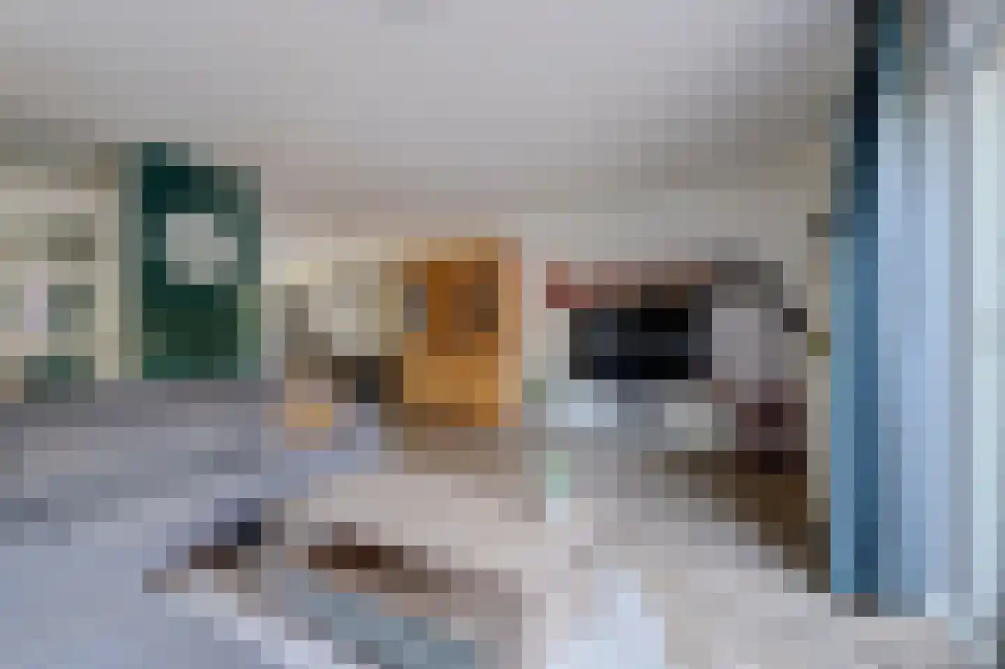 Bruinissestraat 24 Arnhem thumbnail 7