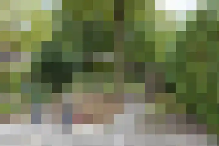 Bruinissestraat 27 Arnhem thumbnail 29