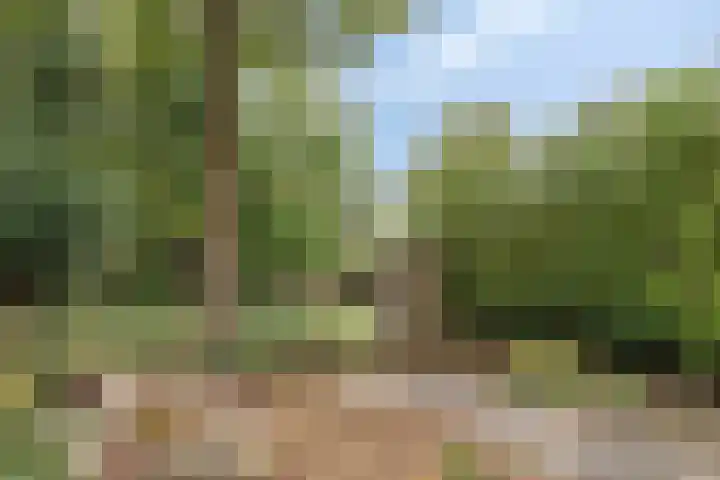 Bruinissestraat 27 Arnhem thumbnail 30