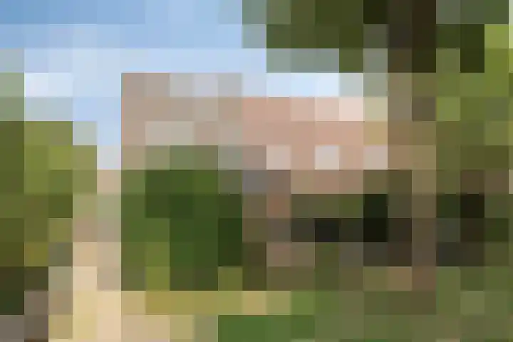 Bruinissestraat 27 Arnhem thumbnail 33