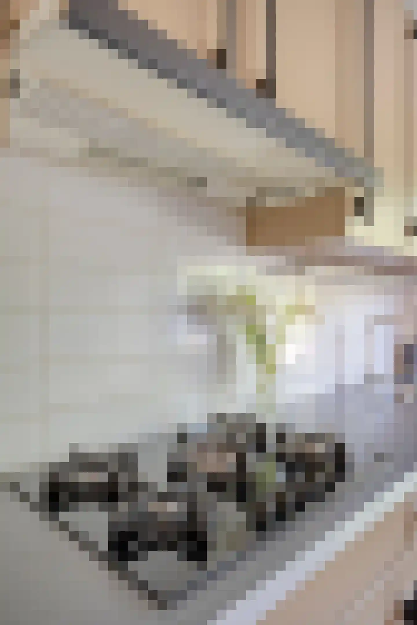 Bruinissestraat 40 Arnhem thumbnail 11