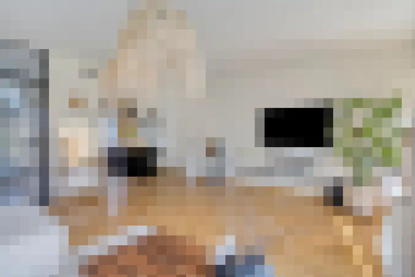 Bruinissestraat 40 Arnhem thumbnail 16