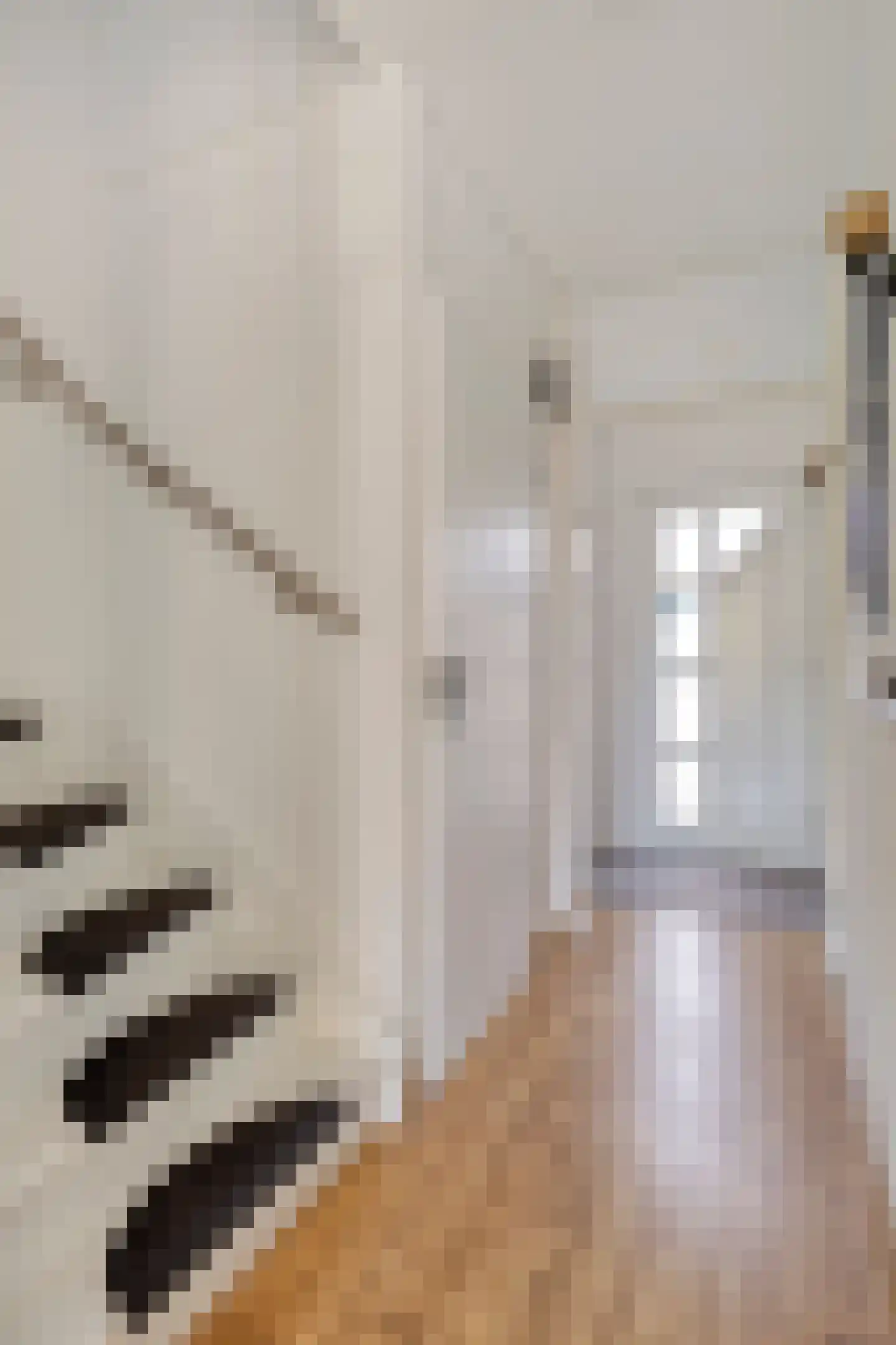 Bruinissestraat 40 Arnhem thumbnail 29