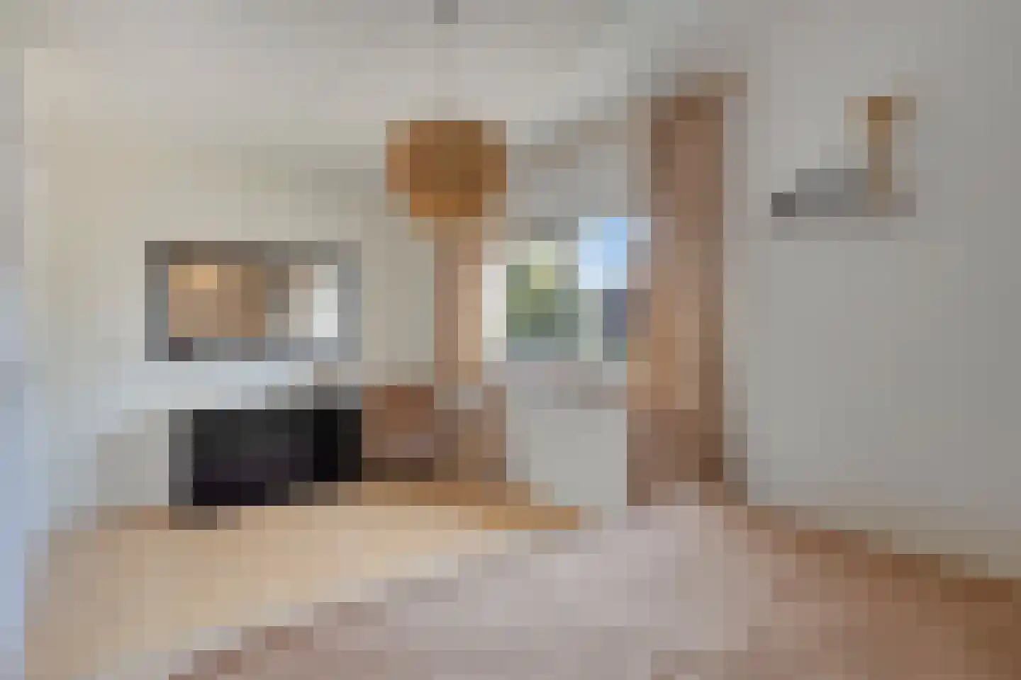 Bruinissestraat 40 Arnhem thumbnail 34