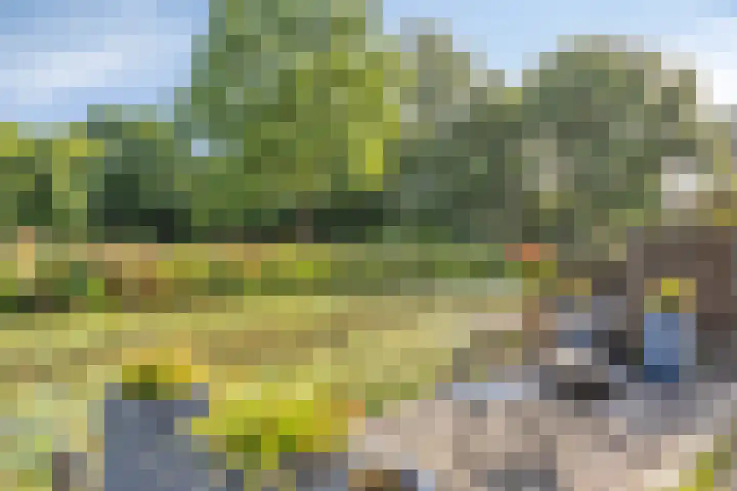 Bruinissestraat 40 Arnhem thumbnail 4