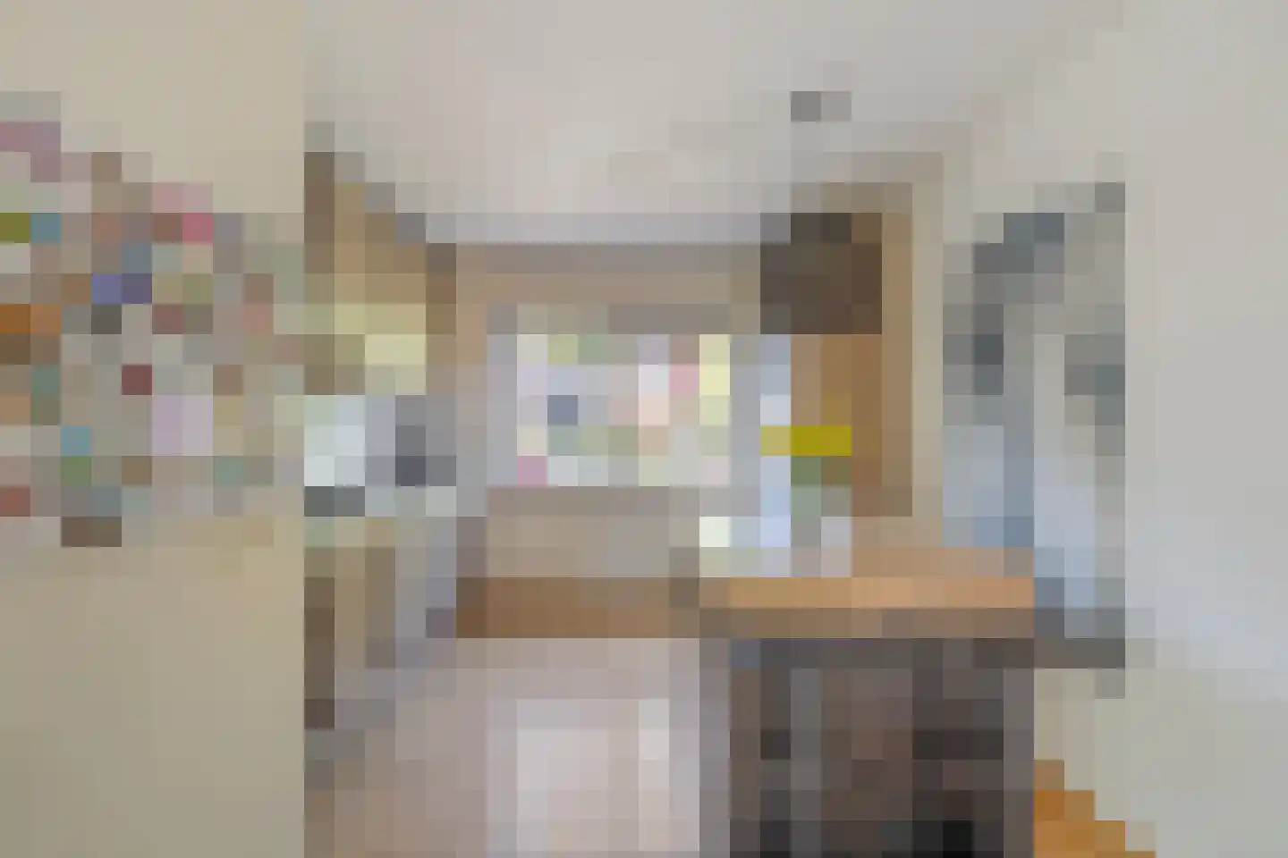 Bruinissestraat 40 Arnhem thumbnail 9