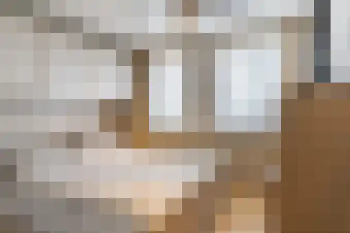 Bruinissestraat 50 Tilburg thumbnail 15