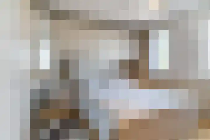 Bruinissestraat 50 Tilburg thumbnail 18