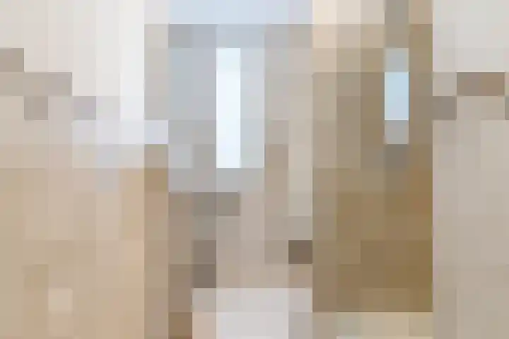 Bruinissestraat 50 Tilburg thumbnail 26