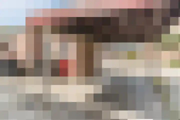 Bruinissestraat 50 Tilburg thumbnail 37