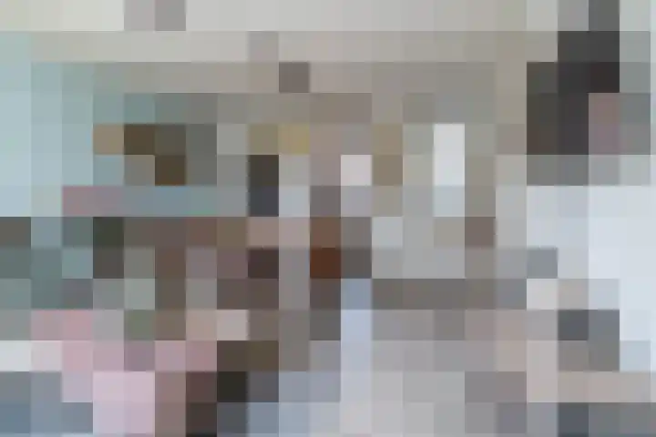 Bruinissestraat 50 Tilburg thumbnail 4